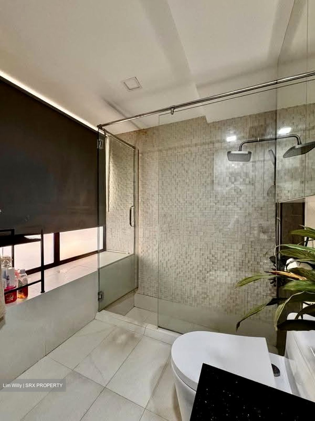 Riz Haven (D17), Apartment #613835761